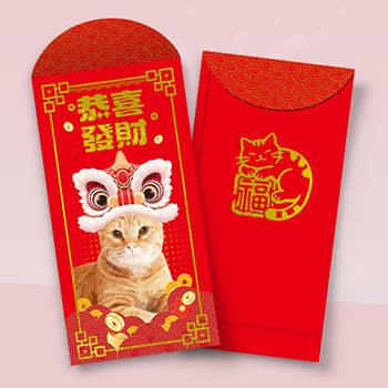 紅色喜慶模板，貓與舞獅元素，含福字及中式花紋 